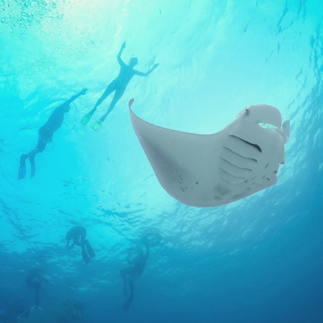 The dive centre. Substantial diving and snorkelling infrastructure for the property's family and active-stay audience.