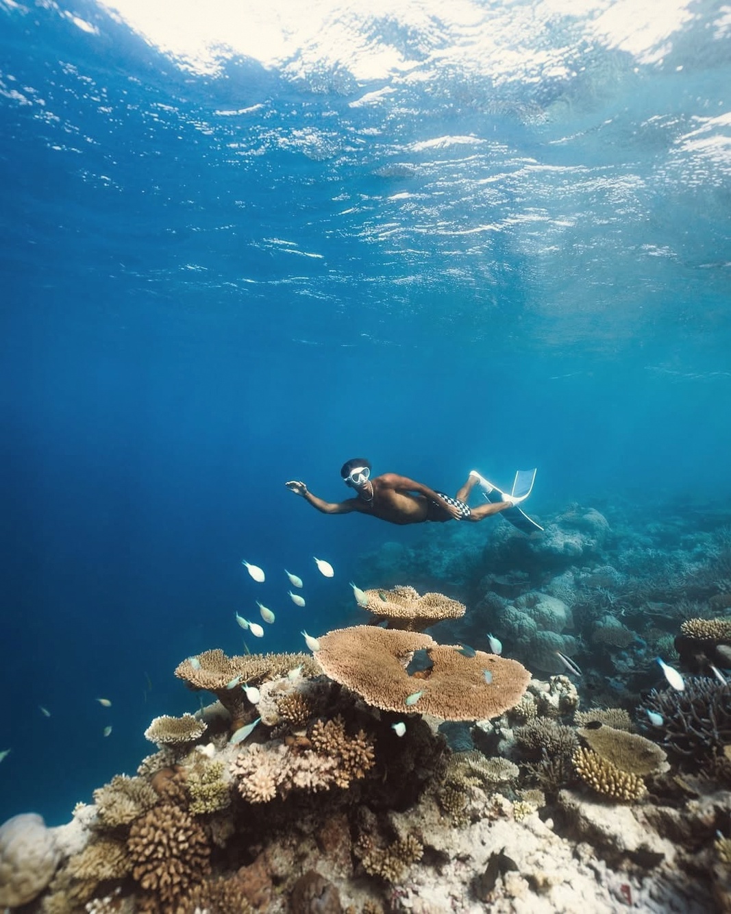 The house reef from the water. Gaafu Dhaalu Atoll is productive for diving and snorkelling, and the southern location means the reef systems here are among the least-trafficked in the Maldives.