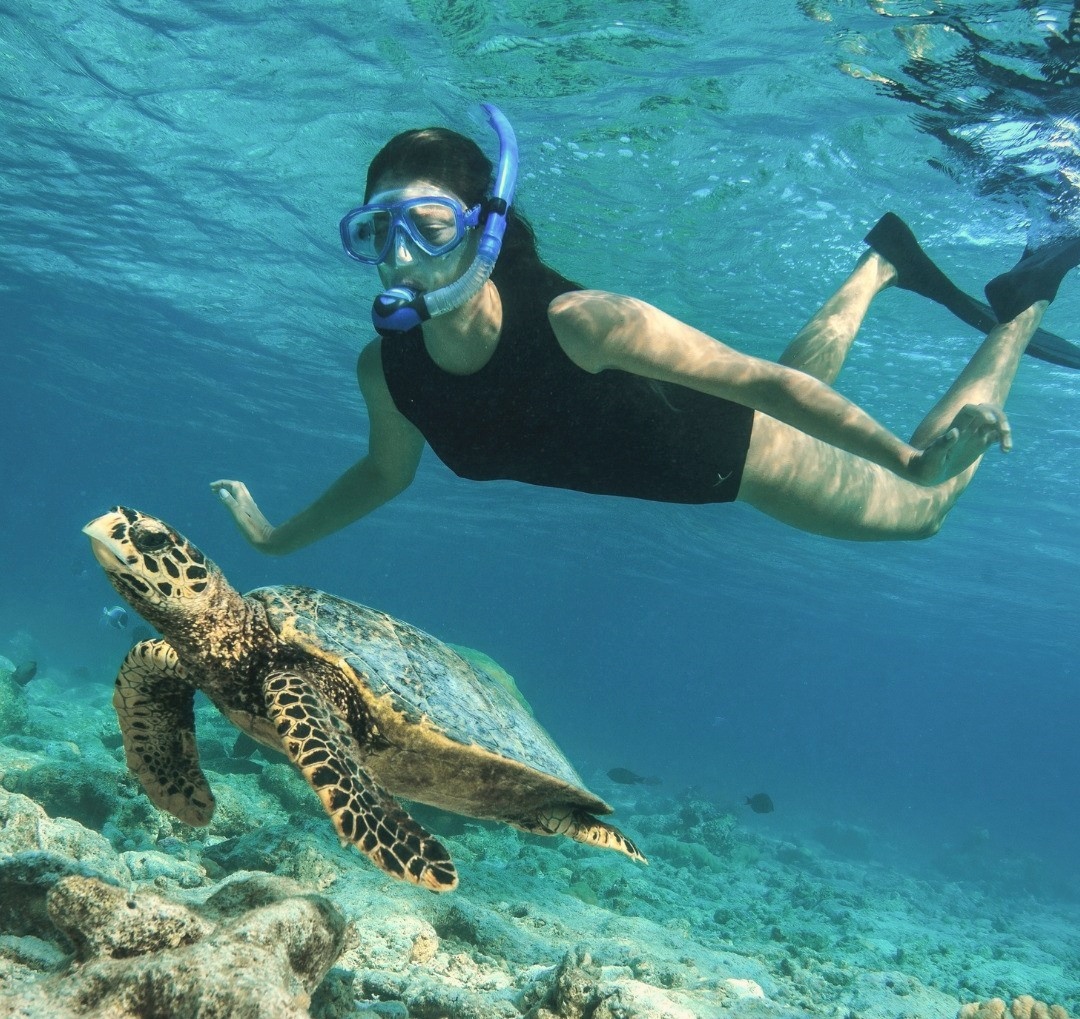 The house reef entry point. Snorkelling and diving access directly from the island, without a boat transfer.