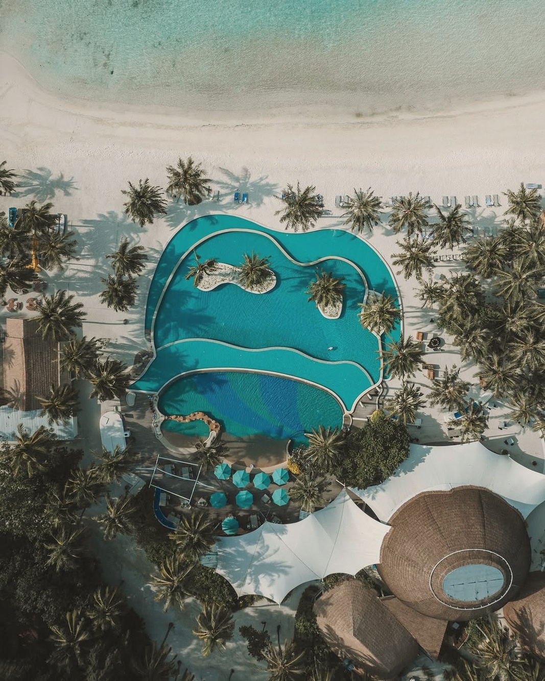 The pool and beach frontage at the resort's social heart. Kandooma's beach is in good condition and the pool area is the gathering point for non-diving guests.