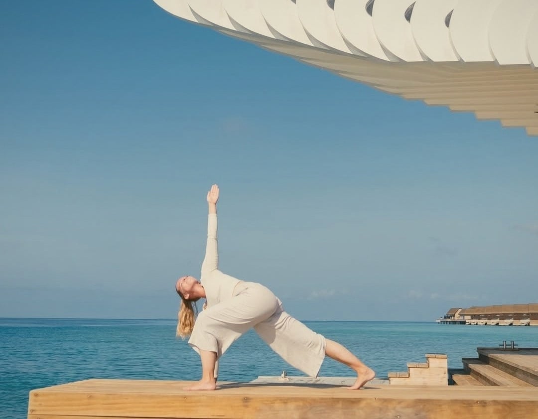 The wellness arrival pavilion. Guests receive a dedicated wellness profile and programme assignment on arrival.