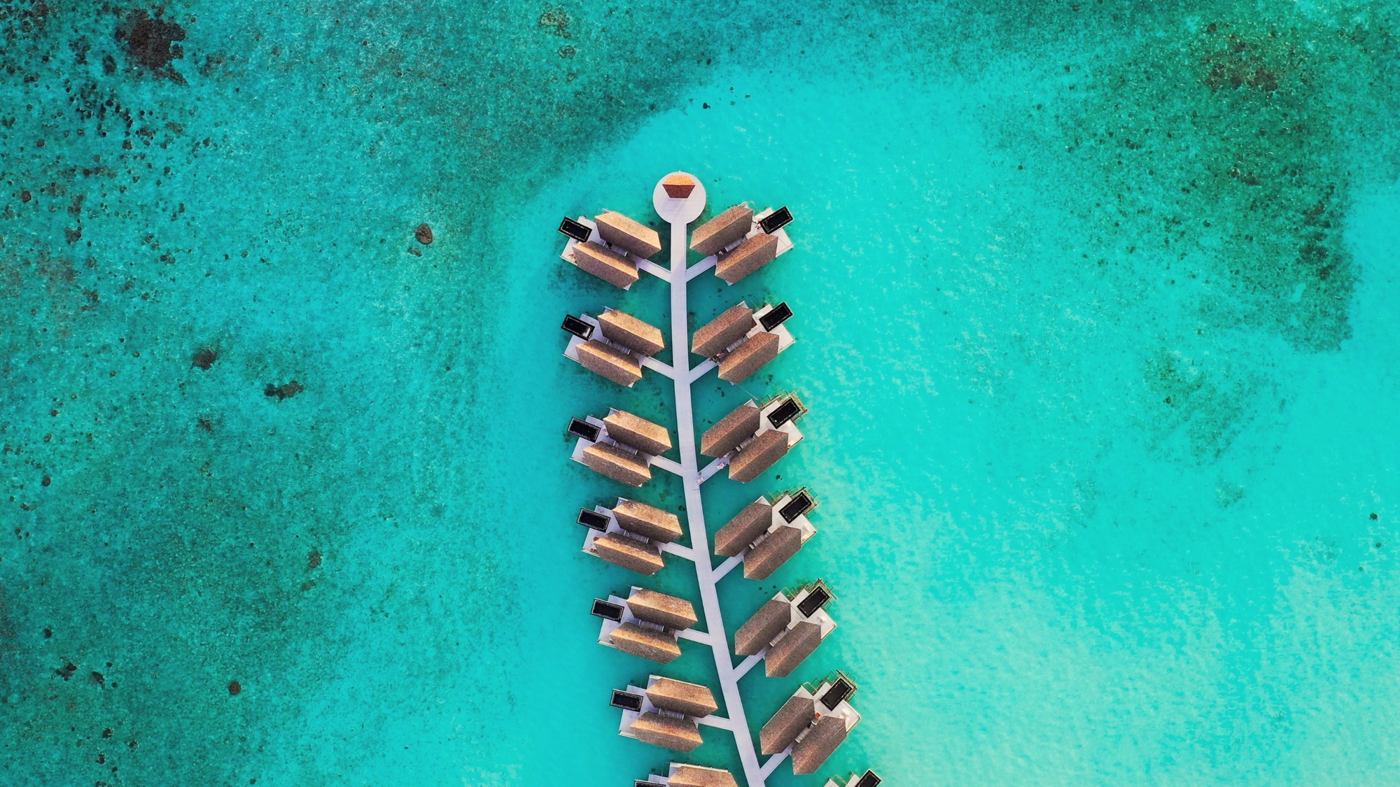 Kuredhivaru from above. The resort occupies its own private island in Noonu Atoll, the water surrounding it shifting from shallow turquoise to deep blue at the reef edge.