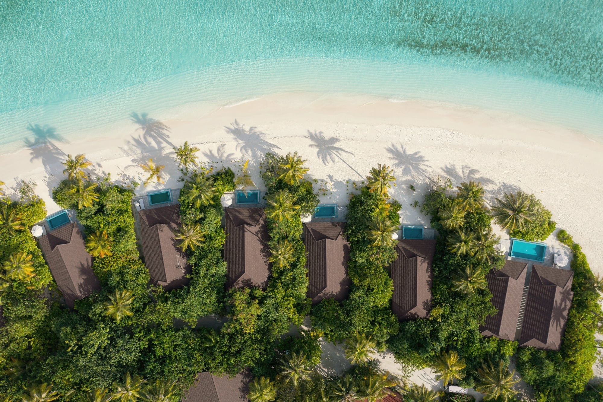 Garden pool villa. The Standard's inland category, design-led in the same vocabulary as the beach and overwater options.