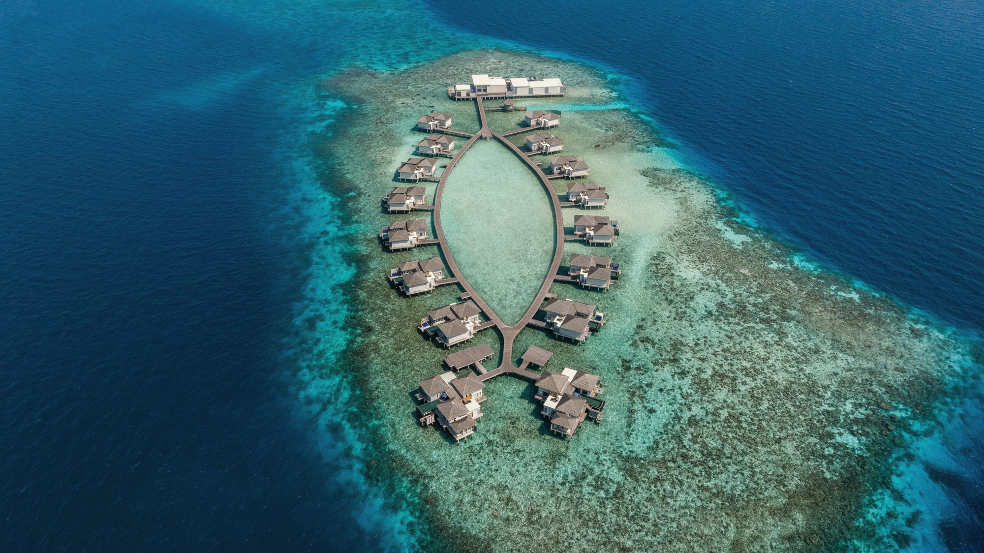 The Halcyon from above. A private island in Gaafu Alifu Atoll, scaled to a handful of beach villas arranged around a calm central lagoon.