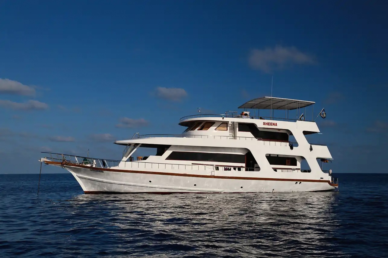 MV Sheena